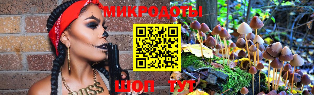 Галлюциногенные грибы мухоморы Камышин